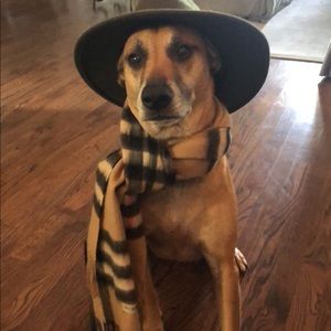 Meet your Posher, Jeffrey